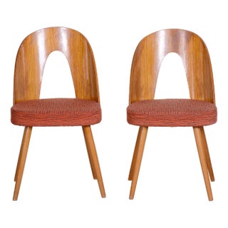 Set of Mid-Century Beech Chairs attributed to Antonín Šuman, 1950s For Sale
