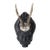Antique Black Forest Roe Deer Mount (Small) For Sale