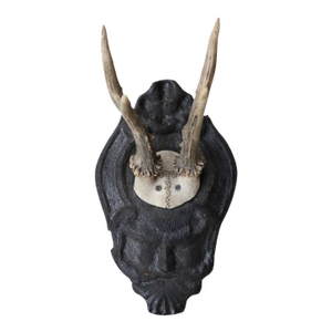 Antique Black Forest Roe Deer Mount (Small)