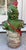 Mid 20th Century Mid-20th Century English Cast Stone Garden Gnome Double Planter For Sale - Image 5 of 5