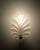 Vintage Shell-Shaped Wall Lamp in Frosted Glass, 1970s For Sale - Image 4 of 7