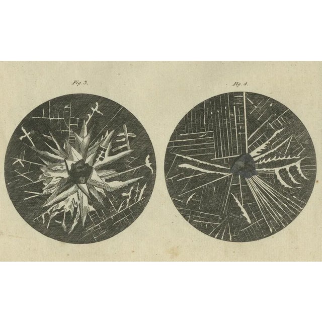 Microscopic Views of Metallic Crystal Trees: Copper, Lead, Pewter and Zinc, 1805, Paper For Sale - Image 3 of 10