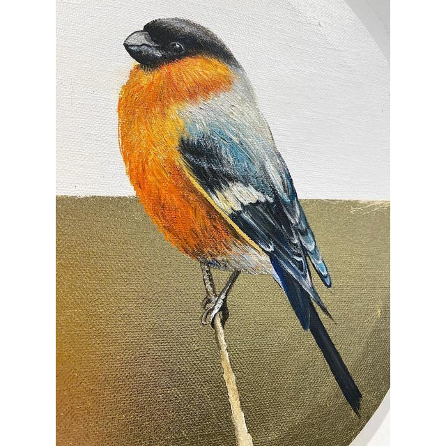 Anastasia Gklava, Eurasian Bullfinch, Orange & Black Bird Composition, Painting with Gold Leaf on Round Canvas, 2025 For Sale - Image 9 of 18