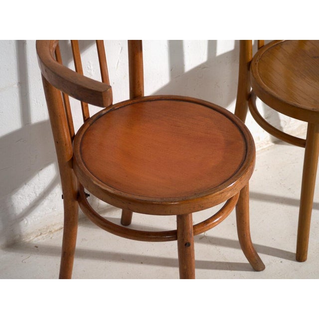 Mundus Bentwood Chairs, 1920, Set of 4 For Sale - Image 4 of 14