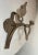 Antique Early 19th Century Hand Wrought Iron Coat Hat Wall Hook Bracket Holder For Sale - Image 12 of 13