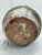 Early 20th Century Large Mediterranean, Green-Glazed Jar For Sale - Image 6 of 7