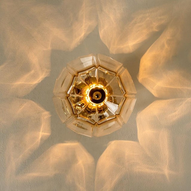 Flower Shaped Flush Mount in Clear Glass and Brass from Limburg, 1970 For Sale - Image 11 of 16