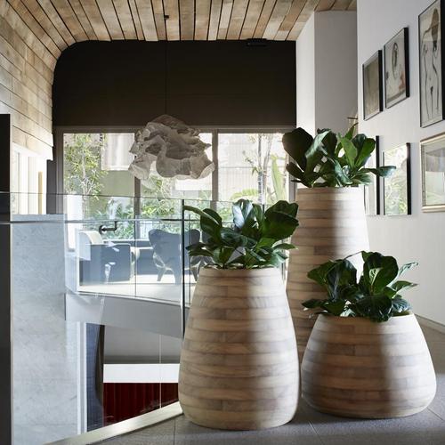 Tuber Planter in Wood by Haldane Martin for Indigenus For Sale - Image 3 of 16