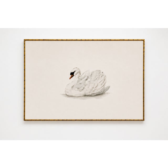 Not Yet Made - Made To Order Mute Swan by Aert Schouman, Vintage Bird Art Print Reproduction, 48" X 32" For Sale - Image 5 of 10