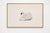 Not Yet Made - Made To Order Mute Swan by Aert Schouman, Vintage Bird Art Print Reproduction, 48" X 32" For Sale - Image 5 of 10
