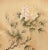 C. 1950s Vintage Chinese Watercolor Scroll Painting of Peony Flower on Silk For Sale - Image 9 of 9