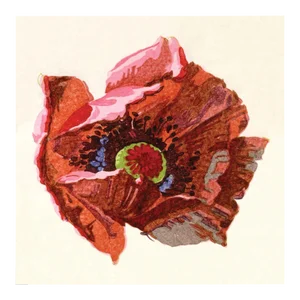 Pignier, Flowerhead 3, Unframed Artwork
