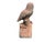 English Owl Garden Ornament in Aged Terracotta For Sale - Image 4 of 18