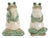 Ceramic Garden Frog Statue (Set of 2) For Sale