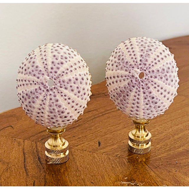 Rare purple color sea shells urc hi ns as lamp finials on brass bases.