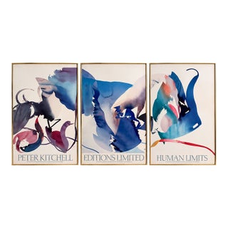 Vintage Peter Kitchell “Human Limits” Abstract Triptych – Set of 3 Framed Art Prints, 1985 For Sale