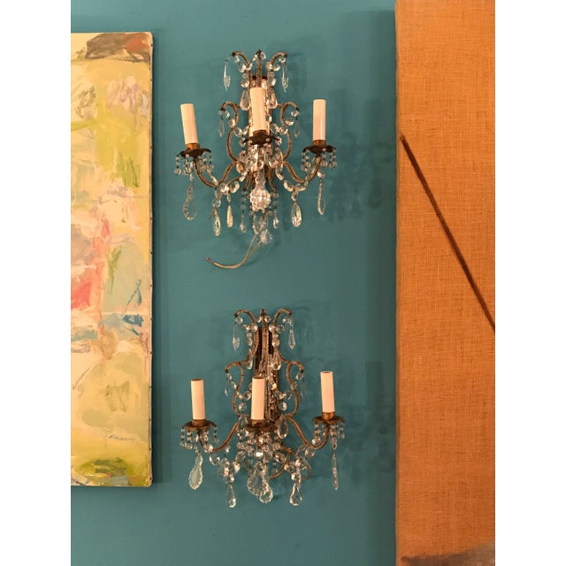 Metal Antique 19th Century Classic European Crystal Sconces - a Pair For Sale - Image 7 of 12
