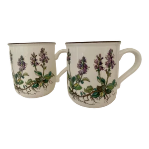 Villeroy & Boch Botanica Coffee Mugs - a Pair
