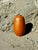 Vintage Vase in Earthenware by Paul Eydner, 1950s For Sale - Image 11 of 15