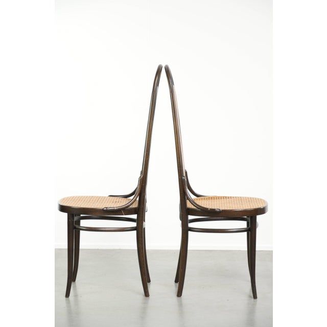 Vintage Long John Webbing Dining Chairs from Thonet, Set of 6 For Sale - Image 5 of 18