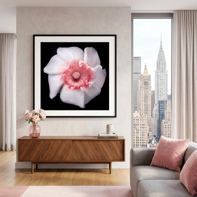 Experience the delicate beauty of "The Singularity," a captivating photographic artwork that brings the elegance of nature...