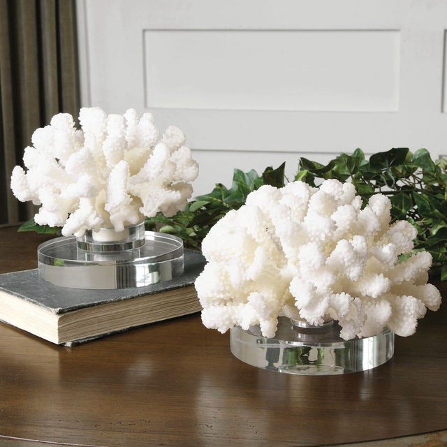 White Coral on Lucite Base For Sale In Los Angeles - Image 6 of 6