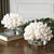 White Coral on Lucite Base For Sale In Los Angeles - Image 6 of 6