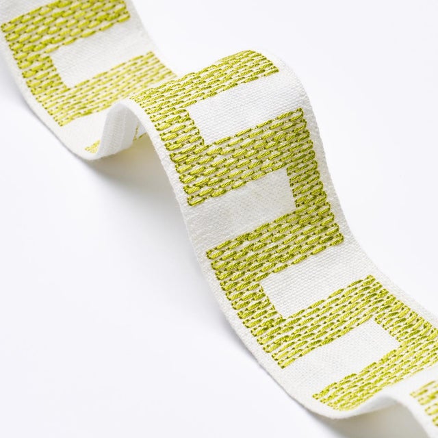 Contemporary SAMPLE - Schumacher Matrix Tape Narrow In Leaf For Sale - Image 3 of 4