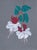 Acrylic painting of white, red, and pink "Swingtime" varietal of fuchsia flowers, hanging from a vine on grey art board by...