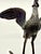 19th Century Pompeiian Bronze Neoclassical Grand Tour Souvenir Oil Lamp Heron For Sale - Image 13 of 17