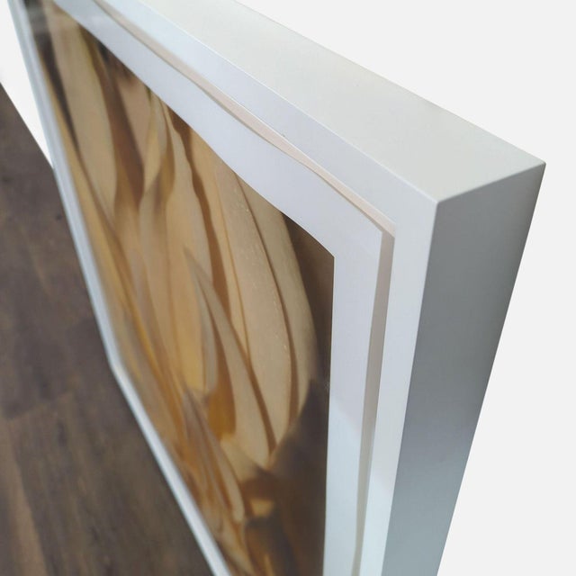 Contemporary Kimberley Carr Harmon Photography “Golden Dahlia” Framed Print For Sale - Image 3 of 3