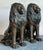 Early 20th Century Boho Monumental Bronze Lion Statues - A Pair For Sale - Image 16 of 16