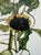 Egon Schiele, Sunflowers, 1917, Print For Sale - Image 10 of 13