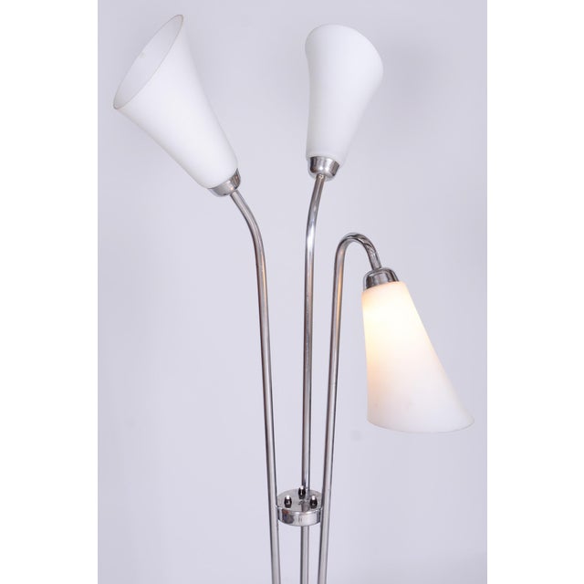 1930s Czech Art Deco Floor Lamp in Chrome, Opal Glass and Lacquered Wood, 1930s For Sale - Image 5 of 15