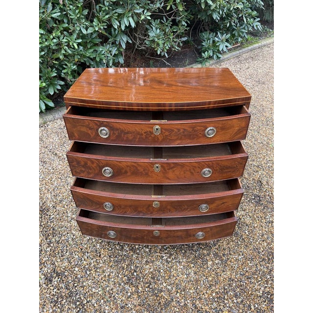 Wood Antique Georgian Mahogany Bow Fronted Chest of Drawers, 1820 For Sale - Image 7 of 12