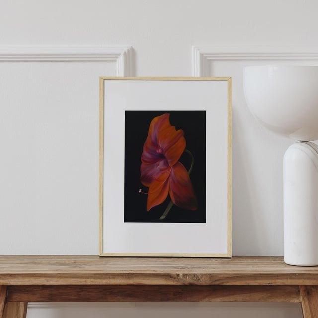 In La Belle Dame, Holly builds a connection between nature and the women of the novel, both of which are used to soothe...