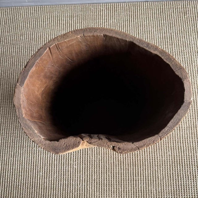 1960s Old Hollowed Out Tree Stump Vessel For Sale In Los Angeles - Image 6 of 6