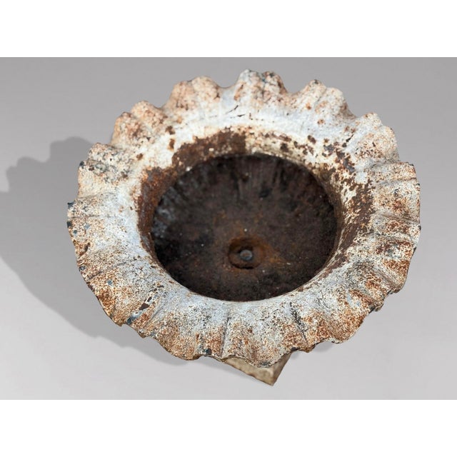 English Cast Iron Tazza Urns or Planters, 1860s, Set of 2 For Sale - Image 4 of 11