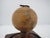 Brown Chinese Gourd Etched With Landscape & Erotic Scene in Dome Case For Sale - Image 8 of 8