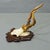 Wood Set of Six Antique Roe Deer Trophies, Germany Ca. 1890s / 1900s For Sale - Image 7 of 10