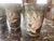 Set of Five Glazed Ceramic 'Waterloo' Mugs with handles and in pea green featuring white flowers. The mug opening is 4...