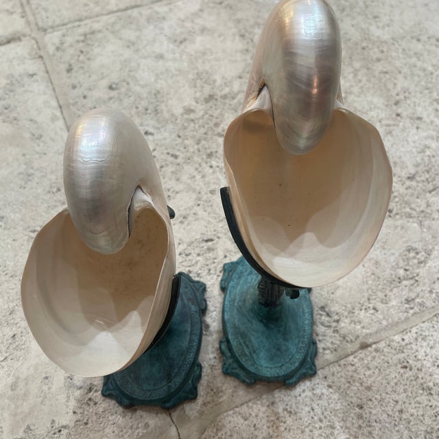 Pair Vintage Maitland Smith Nautilus Shell For Sale - Image 11 of 11