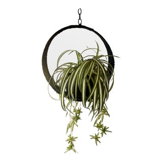 1970s Hanging Swag Silk Fern in Black Basket For Sale