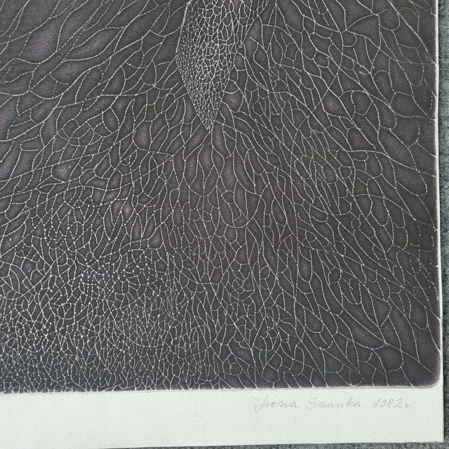 Black Iréna Snarska, Brama Madonna, 1982, Engraving For Sale - Image 8 of 11