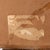 1950s Oil on Board Painting of Bitch Trees For Sale - Image 6 of 10