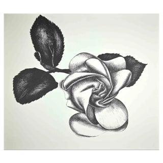 Giacomo Porzano, Black Rose, Original Etching, 1970s For Sale