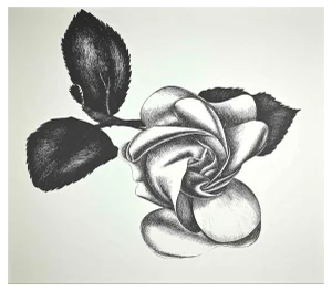 Giacomo Porzano, Black Rose, Original Etching, 1970s