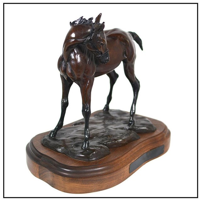 The artwork here, "Excuse Me?!", is a wonderful depiction of a horse looking at a butterfly who has landed on its back,...