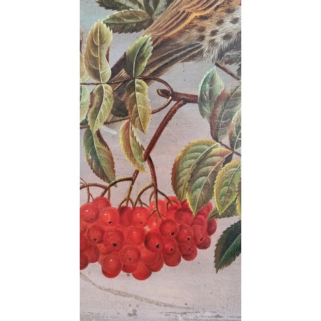 C.B. Hjortdal, Couple d'Oiseaux sur une Branche Fruitée, Oil on Wood, Framed For Sale - Image 10 of 11