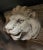 Antique Terra Cotta Brick - Roaring Lion Head For Sale - Image 10 of 10